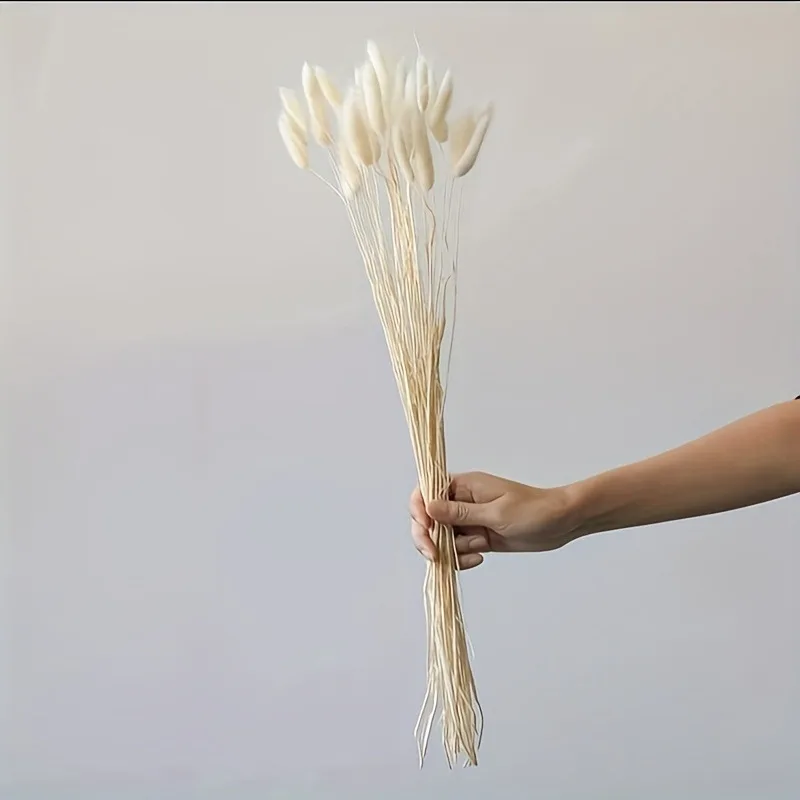 Fiori Secchi Autunnali Code Di Coniglio - 60 Pezzi, Arancione, 43 Cm, Per Decorazioni E Centrotavola - Foto 11