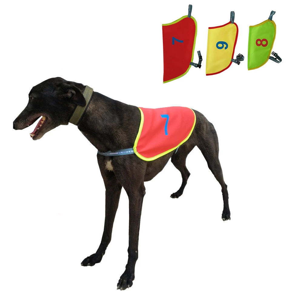Greyhound Whippet Coat Dog Greyhound Whippets Dog Racing Greyhounds