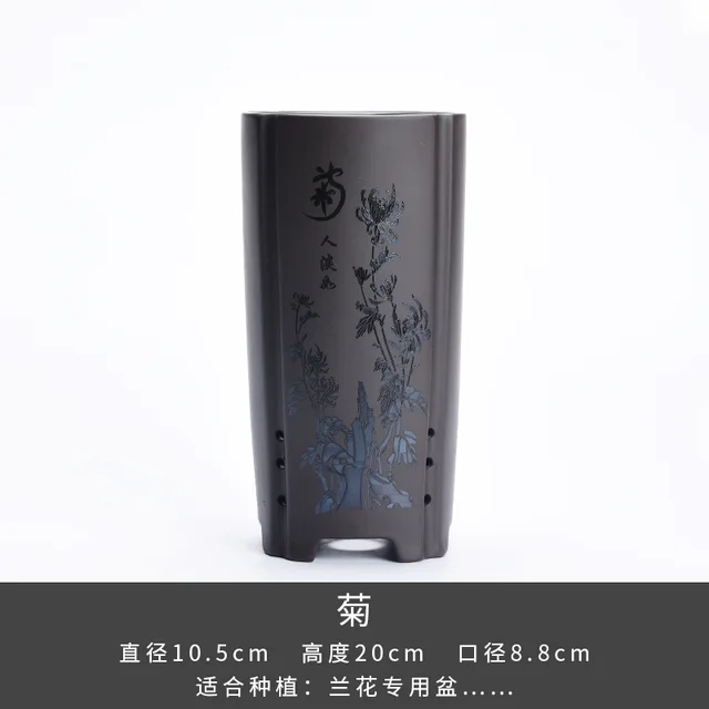chrysanthemum
