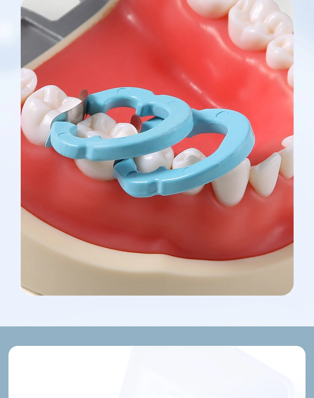 4 Teile/satz AZDENT Dental Harz Klemm Ring Separator Schnitt Konturierte Metall Matrizen Halter Verwendung für Matrix Feste Forming Blatt – Detail 5