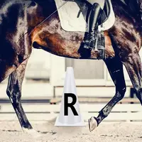Horse Training Equipment Portable White Dressage Letter Cone Set Horse Training Equipment Stackable Sports Training Cone 2