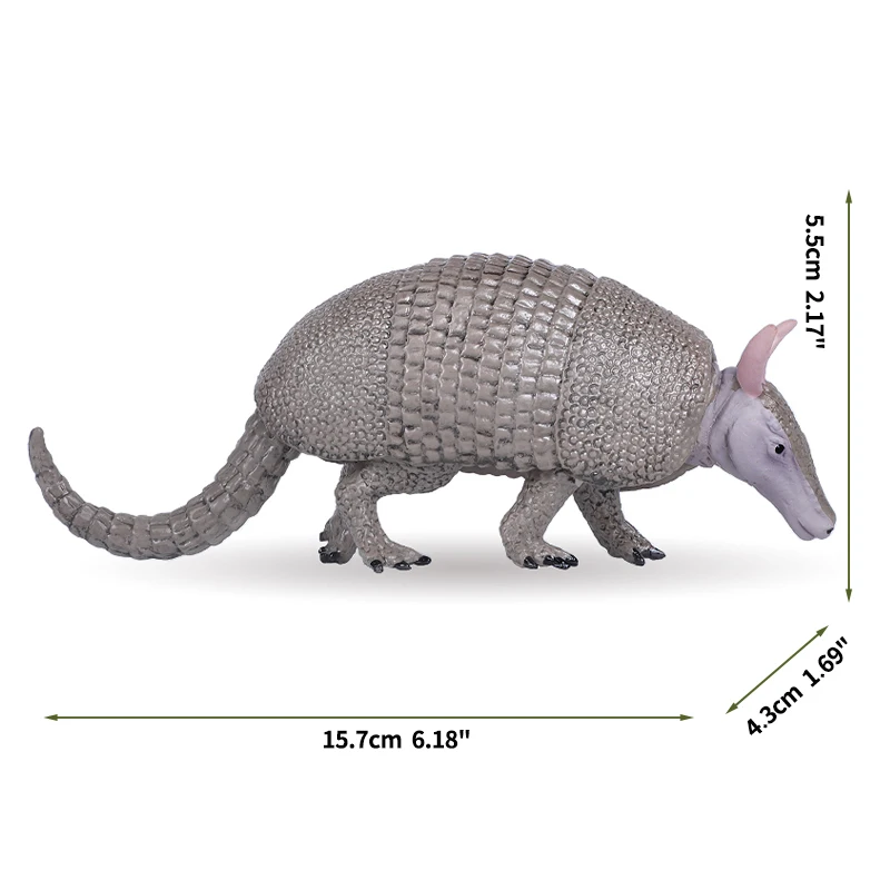 Armadillo