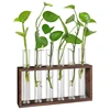 Plant Terrarium With Wooden Stand, Desktop/Wall Hanging Live Plant Propagation Station Planters Glass Tubes Hydroponic 1