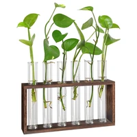 Plant Terrarium With Wooden Stand, Desktop/Wall Hanging Live Plant Propagation Station Planters Glass Tubes Hydroponic 1
