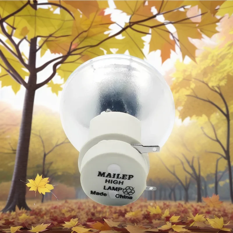 5J. J7L05.001/5J. J9H05.001/5J. J6E05.001 Compatibile Con Benq W1070 W1070 + W1080 W1080St Ht1085St Ht1075 W1300 Mx662 Mx720