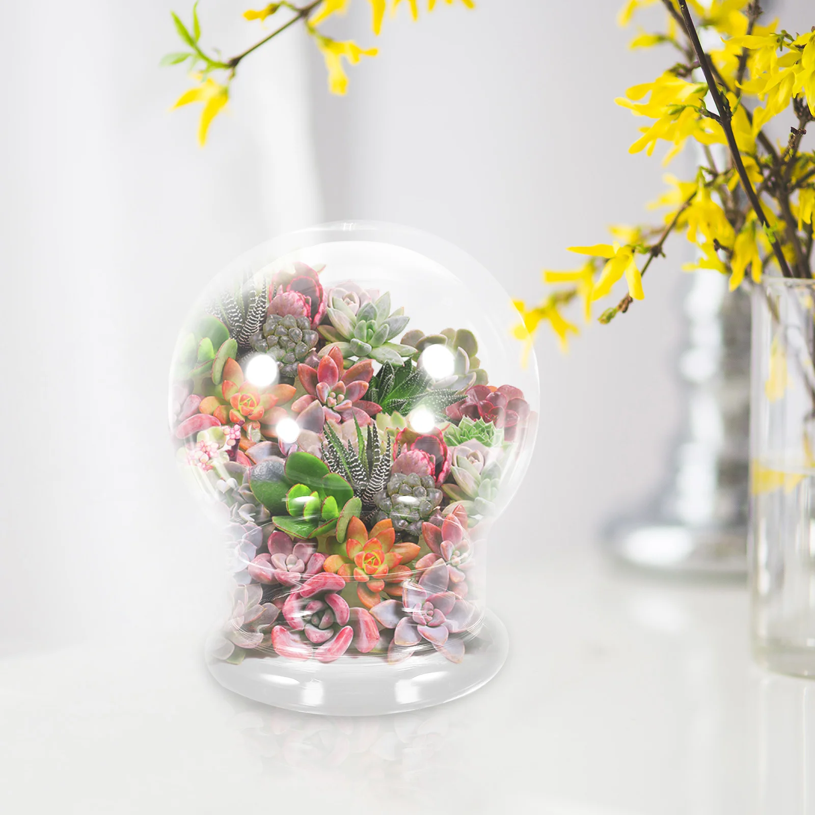 Glass Terrarium With Dome Ecological Bottle For Micro Landscaping Container Bell Jar Vases Home Decor Glass Plants Terrarium 4