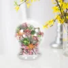 Glass Terrarium With Dome Ecological Bottle For Micro Landscaping Container Bell Jar Vases Home Decor Glass Plants Terrarium 4