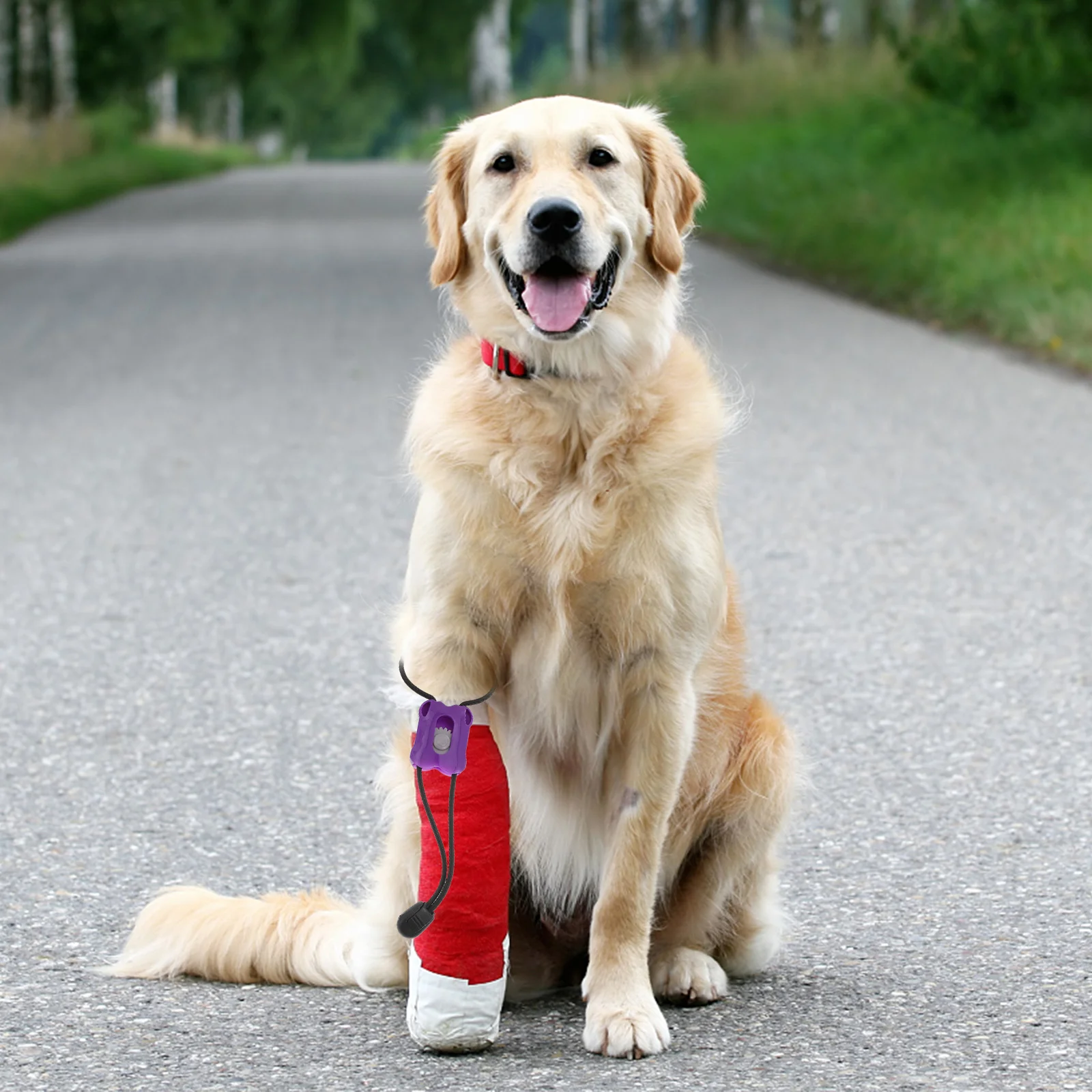 4pcs Professional Animal Tourniquet First aid Quick Slow Release Elastic Medical Essential Emergency Tourniquet for Pet Pet Tourniquet