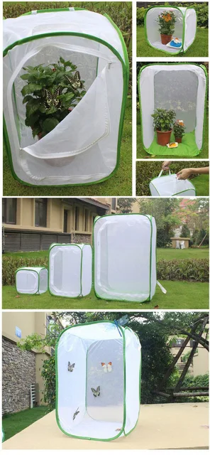 Gabbia Pieghevole Per Farfalle E Insetti - Rete Per Allevamento E Osservazione, Portatile - Foto 10
