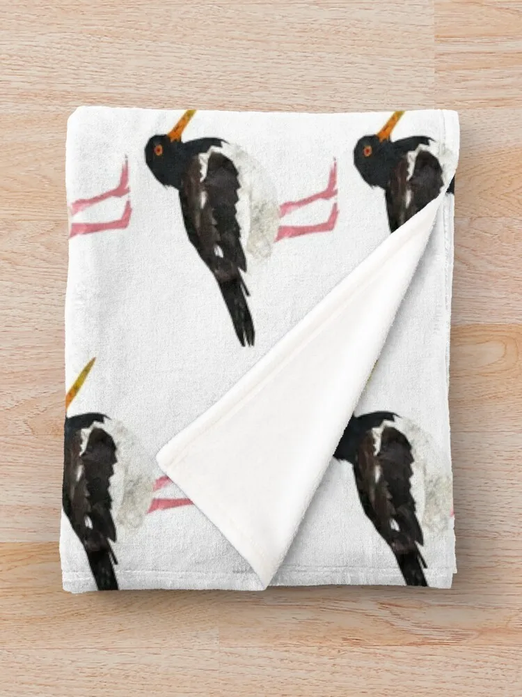 Oystercatcher ������ ���, ���� ǫ���� �ε巯�� ���, �Ƹ��ٿ� ���