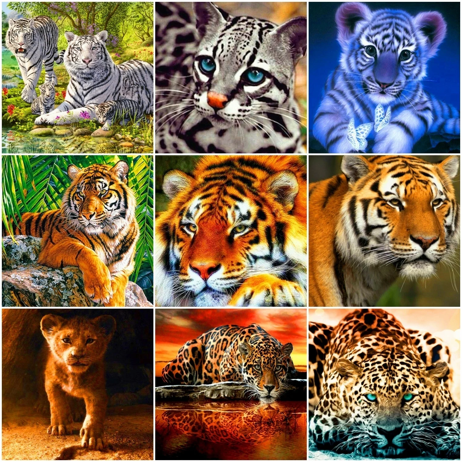 23 (3).jpg_.webp 23 (3).jpg_.webp