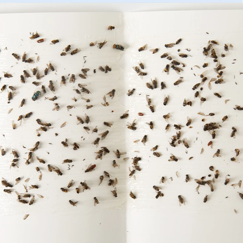 10 Pcs Fly Stickers Richiamo Fisico Bugs Sticky Board Insetti Volanti Afferrare Adesivi Di Controllo Mosche Zanzare Nemesis Dropshipping