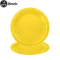 10pcs 9inch Plates