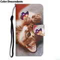 Cat butterfly