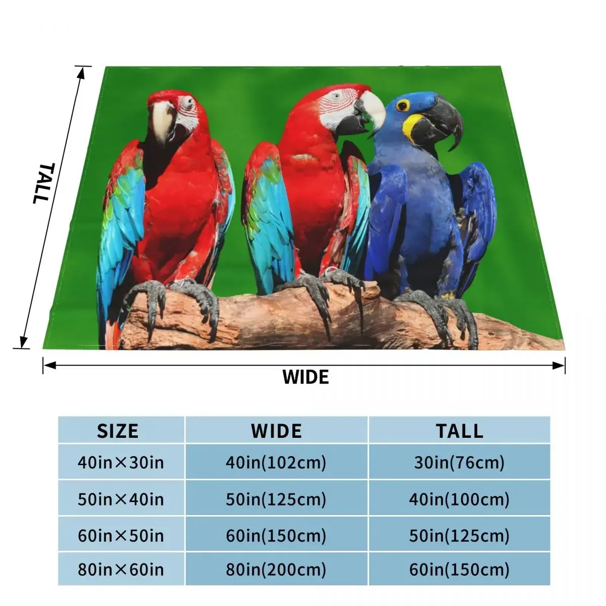 Cockatiel �� ��� �ö��� ���� ���� �ܿ�, ���� �޹��� ���� �ε巯�� ������ ���, ħ�� �繫�� ħ�뺸