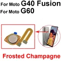 G60 G40Fusion-Gold
