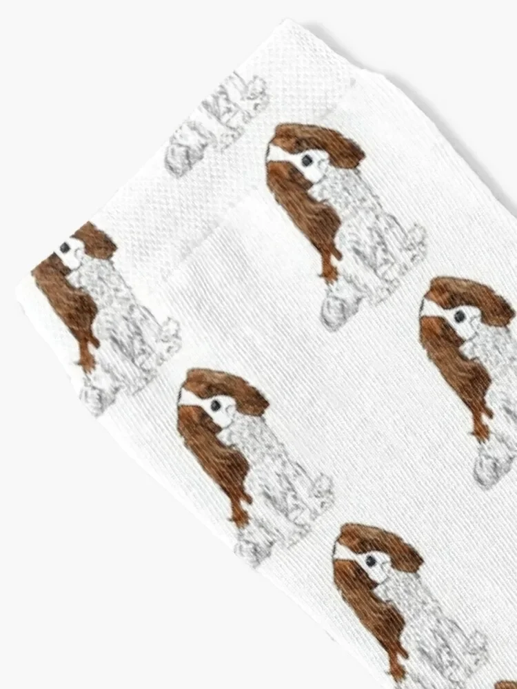 Рисунок 2 - Носки Cavalier King Charles Spaniel-Blenheim