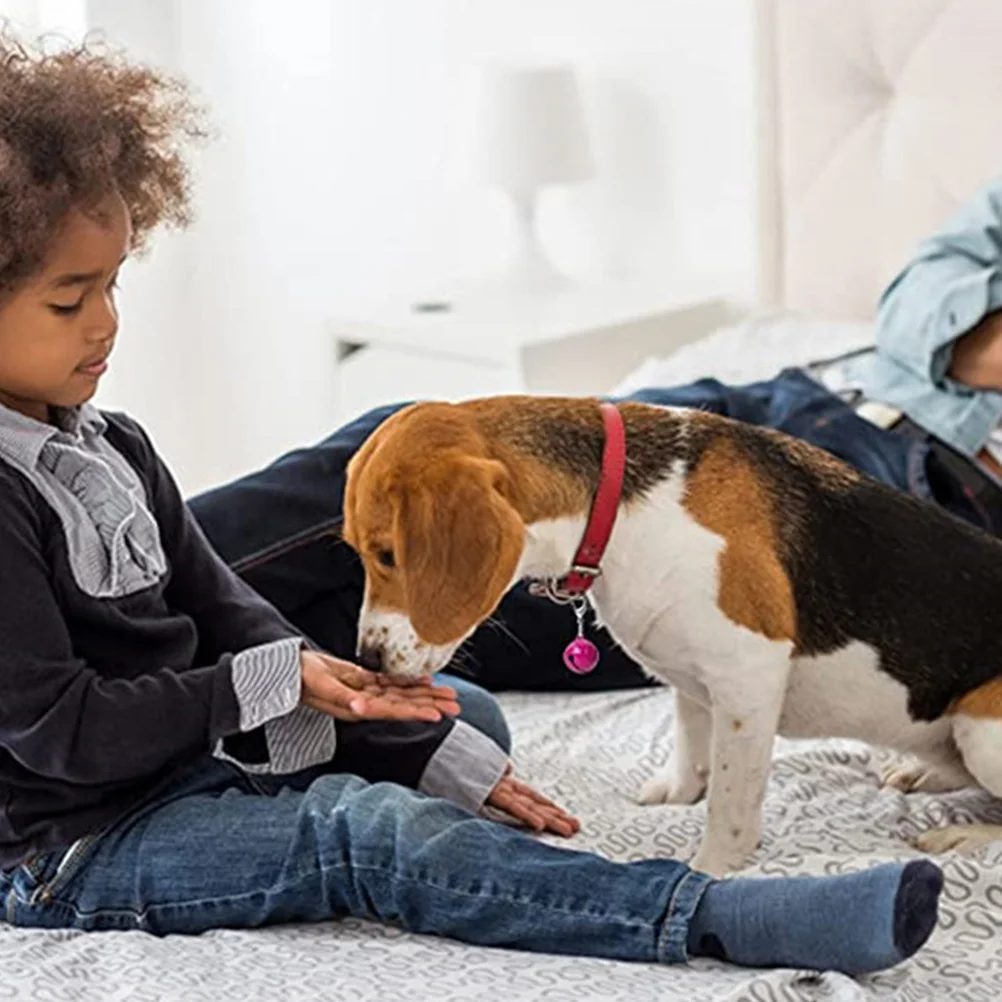 

10 Pcs Pet Collar Bell Puppy Collars DIY Hanging Cat Bells Decorative Dog Accessories Multi-function Metal Small Supplies