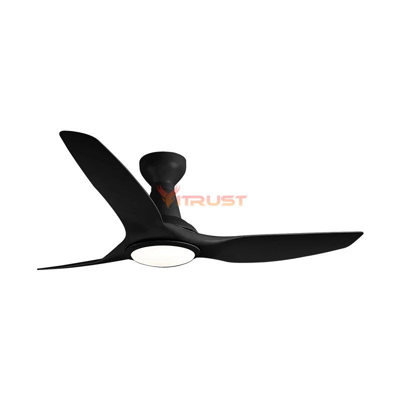 Tuya Smart Ceiling Fan LED Light DC Motor Strong Wind Mute Ceiling Fan Lamp Black White 52Inch 60in 110V 220V Remote Control