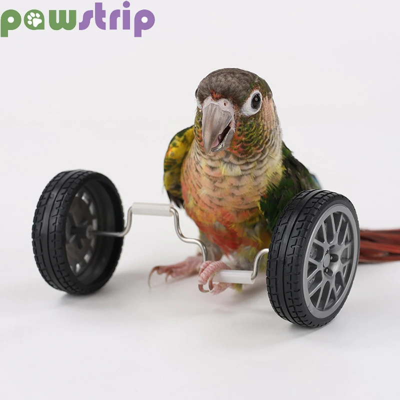 Parrot Balance Toy Birds Intelligence Training Interactive Toy Mini Bicycle Wheels Roller for Small Medium Birds Pet Supplies