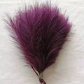 Deep Purple