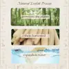 One Whole Shower Loofah About 30-40cm 100% Natural SPA Beauty Bath Sponge Body Scrubber puff Exfoliating Lofa Loofa Luffa Loffa 6