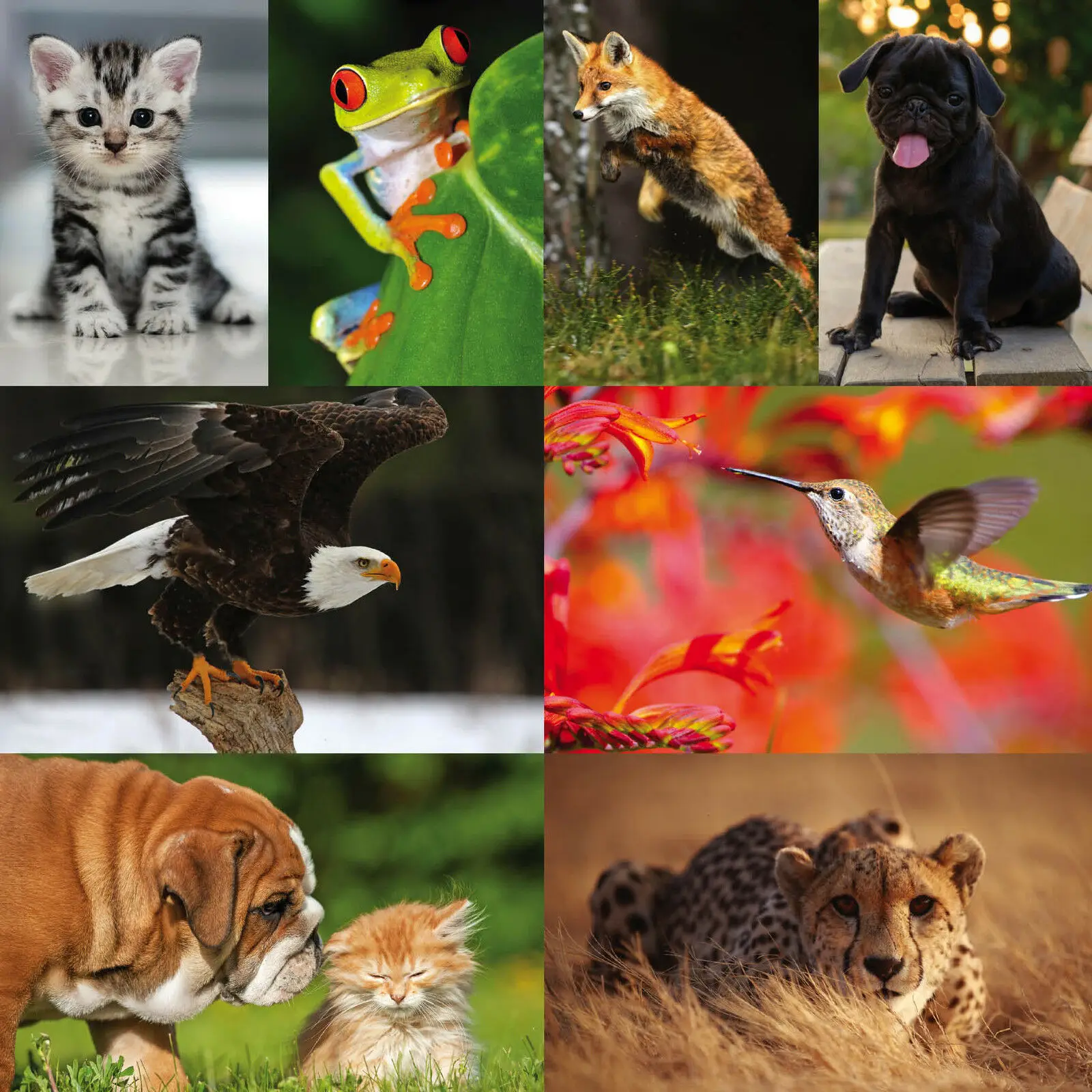 

27style Choose WILDLIFE ANIMALS Print Art Canvas Poster For Living Room Decoration Home Wall Picture