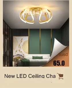 Round LED Ceiling Chandelier For Bedroom Aisle Kitchen Dining Room Living Room Hotel Restaurant Apartment Indoor Home New Lamp vintage chandelier