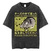 The Horrors Are Never Ending Yet I Remain Silly T-shirt Funny Japanese Style Frog Retro Washed T Shirt Men's Oversized Tees Tops 2