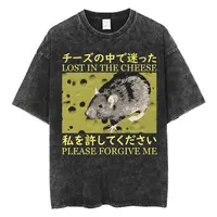 The Horrors Are Never Ending Yet I Remain Silly T-shirt Funny Japanese Style Frog Retro Washed T Shirt Men's Oversized Tees Tops 2