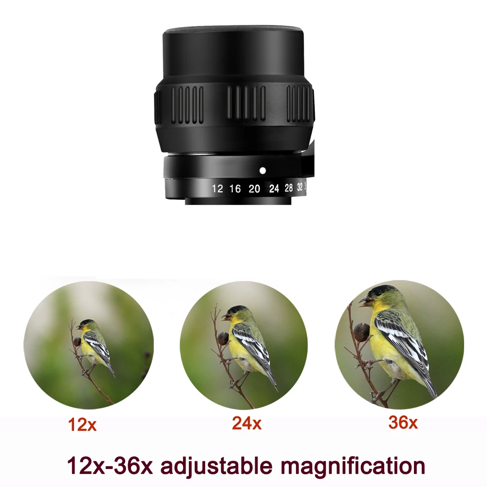 Borwolf 12-36X60 Binoculars BAK4 Prism FMC Optical Lens High Power Hunting Birdwatching Light night vision telescope 3