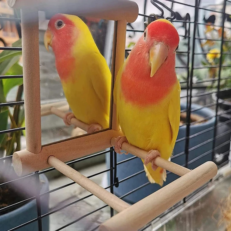 Bird Mirror Wooden Interactive Play Toy With Perch for Small Parrot Budgies Parakeet Cockatiel Conure Lovebird Cage Accessories