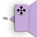 Grass Purple