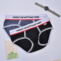 5PCS/LOT Men's Three-Dimensional Pouch Cup Underpants, AC Design Coolflex Briefs Male Underwear Black/Blue/Gray/White M L XL XXL 1
