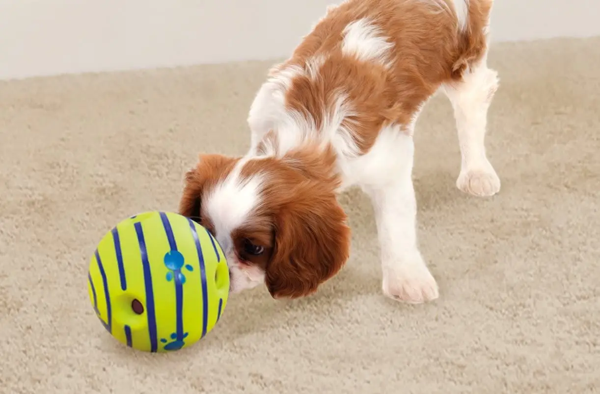 Wobble Wag Giggle Ball Interactive Dog Toy