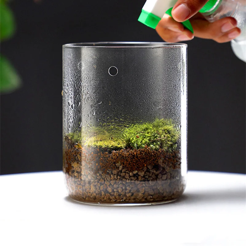 Glass Bottles Creativity Dew Collection Glass Vase Micro Landscape Succulent Moss Landscape Glass Terrarium Home Decor 3