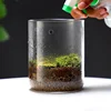 Glass Bottles Creativity Dew Collection Glass Vase Micro Landscape Succulent Moss Landscape Glass Terrarium Home Decor 3