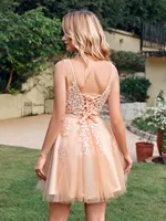 Rose Appliques V Neck Sleeveless Lace Tulle Mini Dress 2