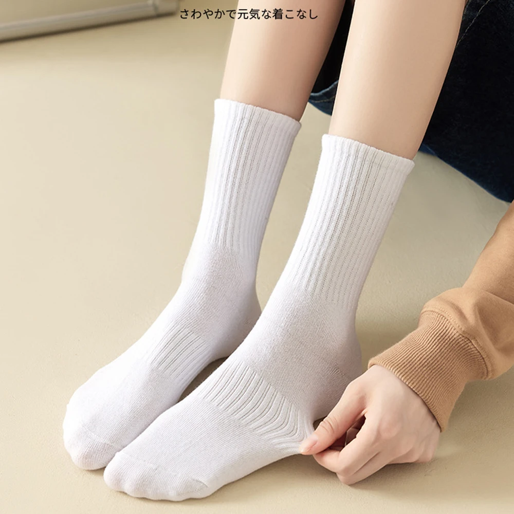  ߸ 縻,   縻, 5 , ߿ , ũ 縻,       縻