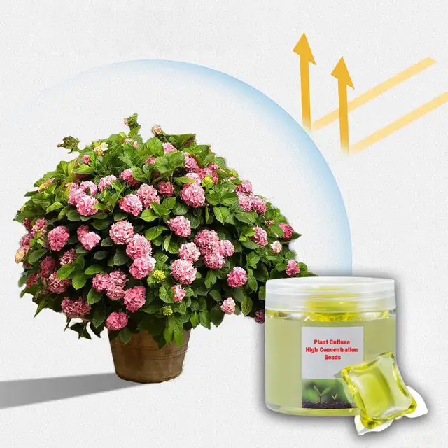 Növénytenyészet Tápanyag Folyékony Növényi Növekedés Magas Koncentrációjú Műtrágya Univerzális Vitalitású Elem Virágok Zöldséghez - Image 2