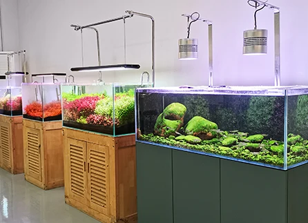 Weekaqua-調光可能なLED水族館ライト,m600k pro,wrgb uv,aaaanum