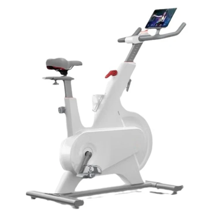 Exercise Spinning Bike Indoor Bicycle Exercise Bike for Home Indoor Sport Bicycle Gym Equipment