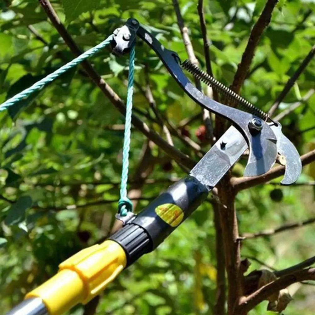 Description Picture 2 of itemTelescopic Scissors Fruit Picker High-altitude Cutting Equipment Gardening Branches Gardening Branches And Pruning Tools To K9F6