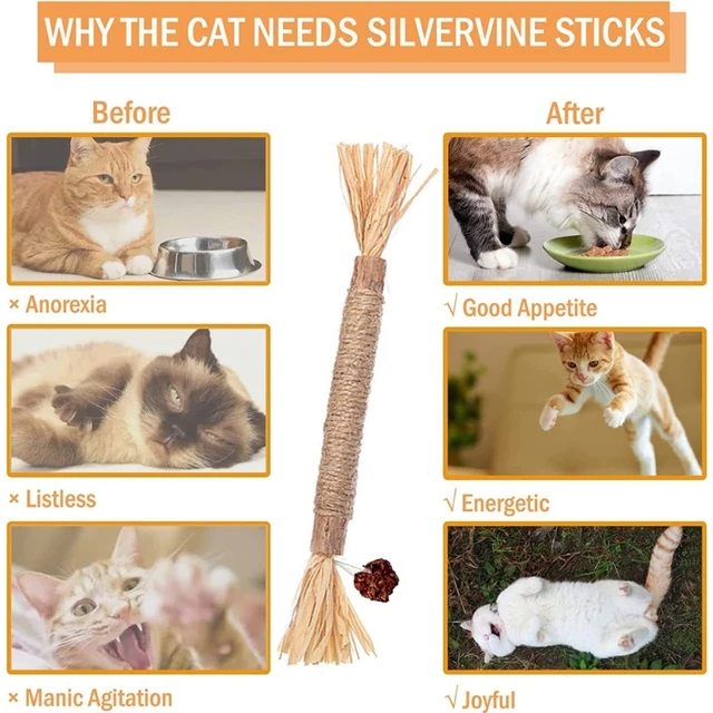 Natural Matatabi Catnip Sticks 4