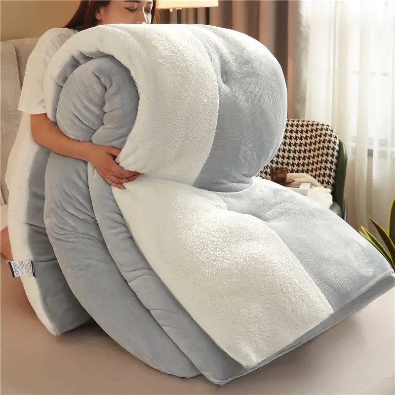 Winter Lamb Wool Quilt Winter Quilt Core Thickened To Keep Warm 10 jin Single Double Student Autumn