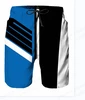 2023 Summer Men's Swimwear Shorts Racing Beach Shorts Motorcycle Swim Trunk Men Swimsuit Surf Board Short Boy Pants Fitness Gym 3