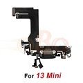 13Mini-Black
