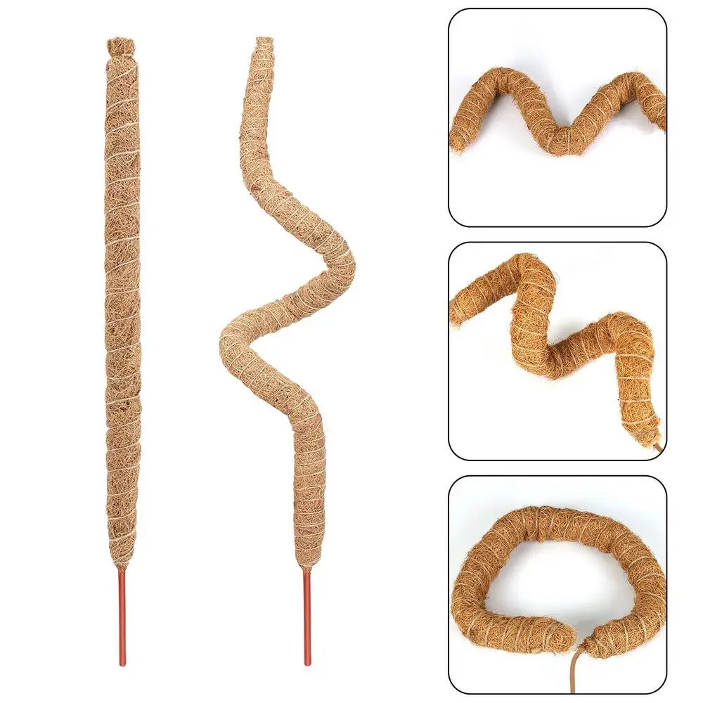 Description Picture 5 of itemMoss Pole Moss Monstera Supporting Poles For Plants Bendable Diy Climbing Rattan Coconut Palm Stick For Courtyard Patio Garden