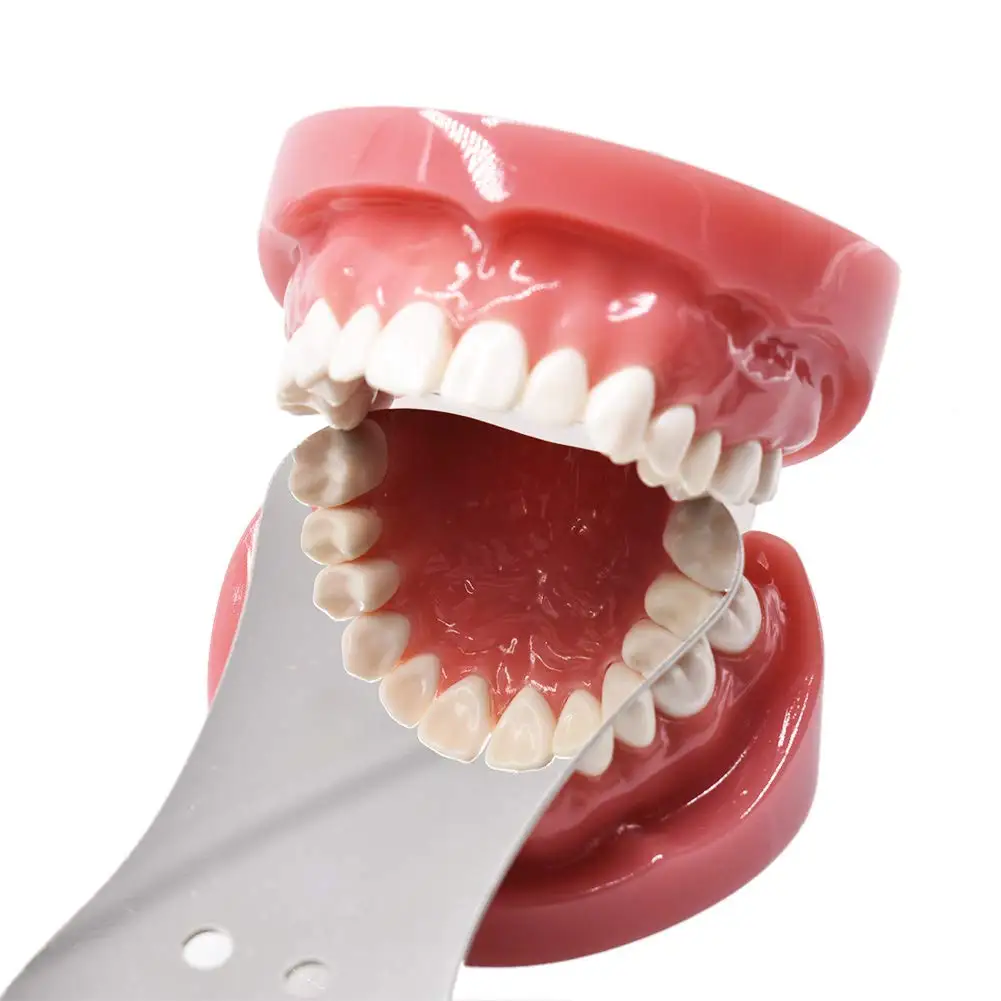 2 Miroirs Intra-Oraux Dentaires En Verre - Pour Photographie/Orthodontie - Neufs