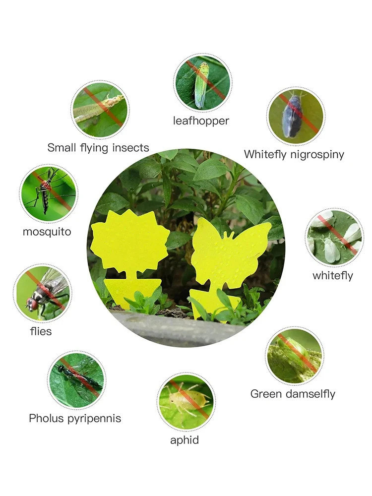Insect Traps Sticky Yellow